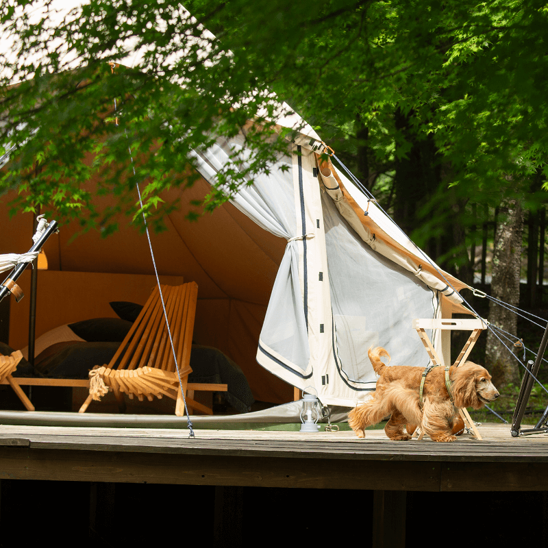 公式】南軽井沢 愛犬とグランピング RITA'S RANCH（リタズランチ