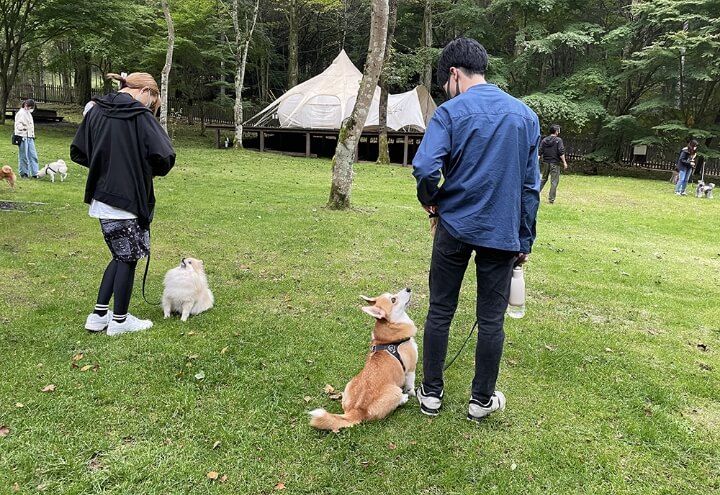 愛犬旅マナーレッスンプラン