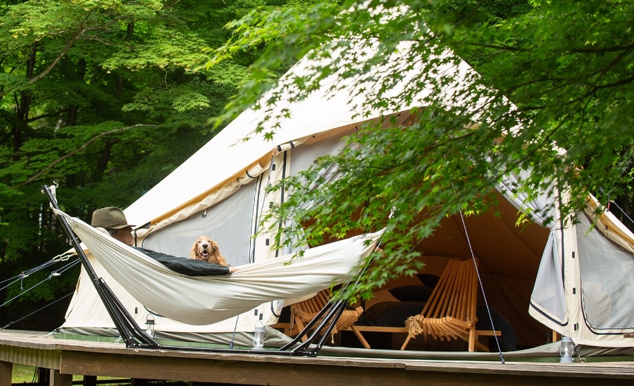 愛犬とハンモックで昼寝