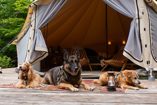 RITA’S RANCH 南軽井沢