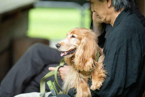 RITA’S RANCH 南軽井沢